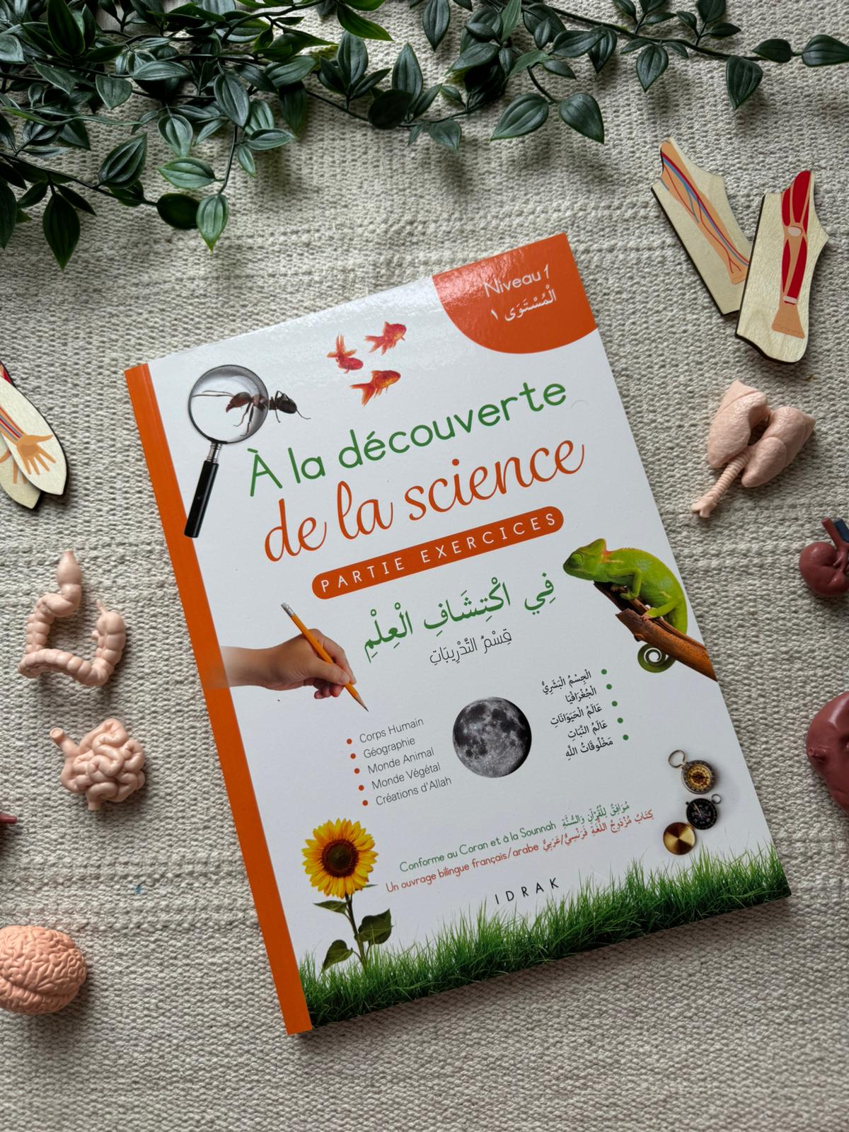 Les sciences (leçon et exercices / 2 manuels) Collection Idrak