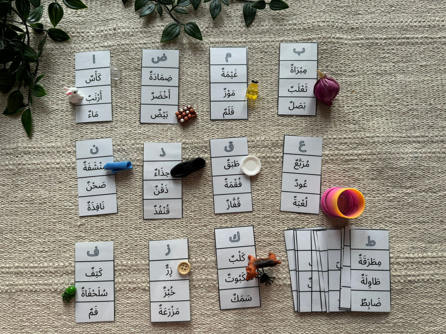 Cartes à pince autour des mots