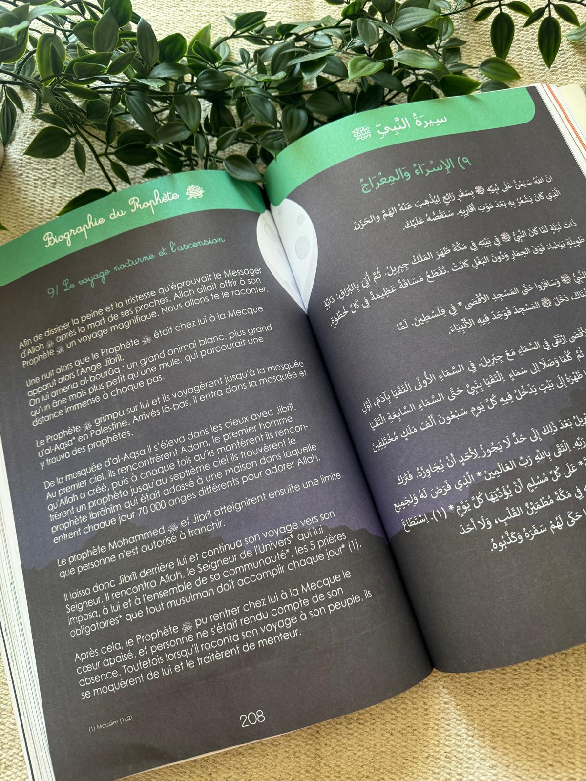 Apprendre l’arabe (Moyenne section) Collection Idrak