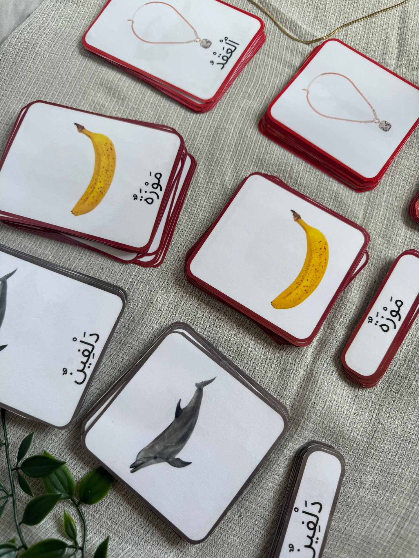 Pack Cartes de Nomenclature