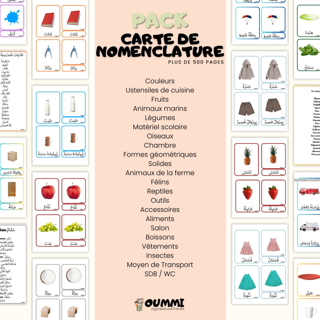 Pack Cartes de Nomenclature